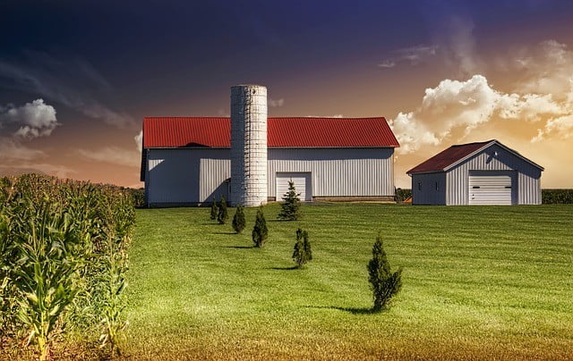 The Best Farm Sheds and What To Expect